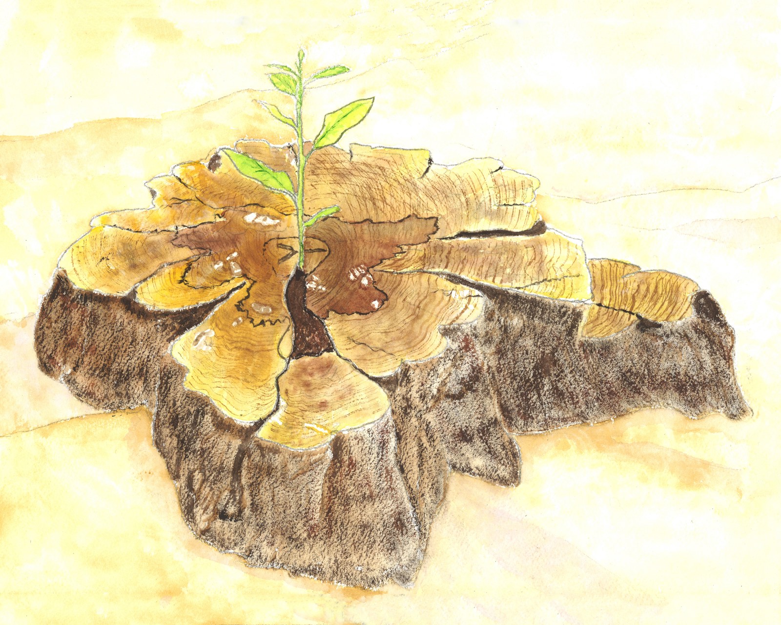 A green sapling rising from the split heart of an old stump: what looked finished becoming a beginning